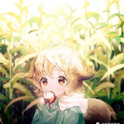被蜱虫叮咬或致命